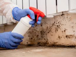 Best Mold Odor Removal Services  in Groveport, OH